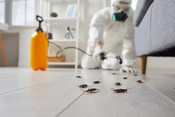 Trusted Fumigation Services service in Succasunna, NJ - Nex Pest Control