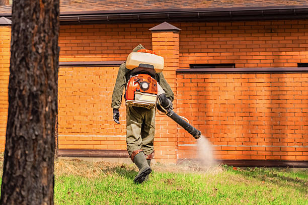 Trusted Termite Control service in Succasunna, NJ - Nex Pest Control